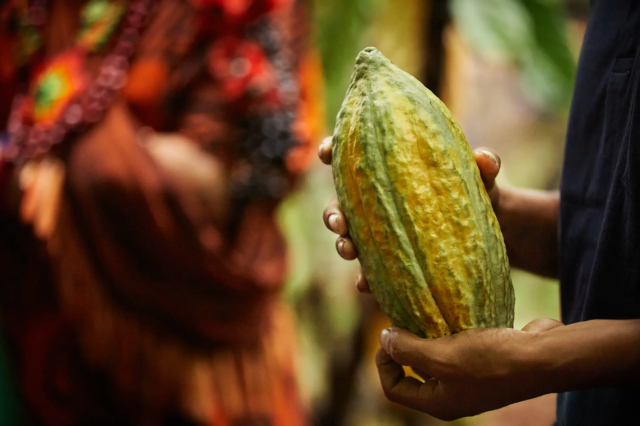 cacao bellavista VRAEM